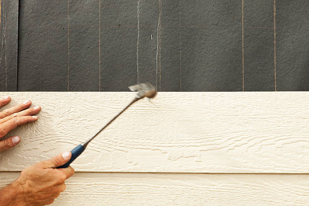 Best Fascia and Soffit Installation  in Spring Valley, NV